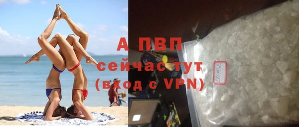 индика Балахна