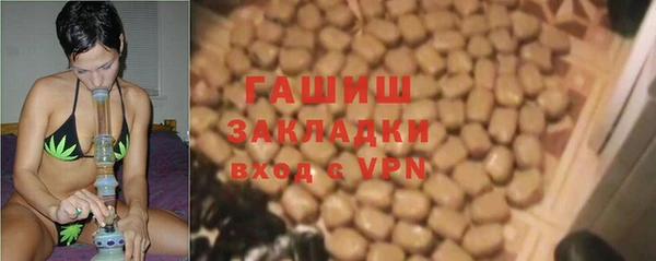 индика Балахна