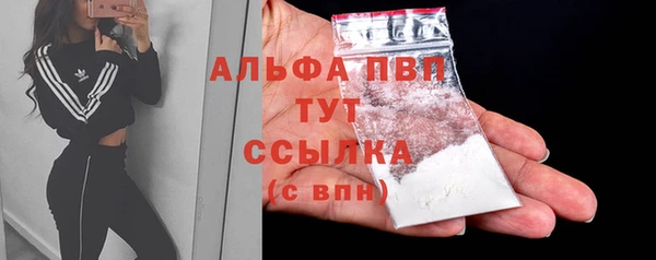 индика Балахна