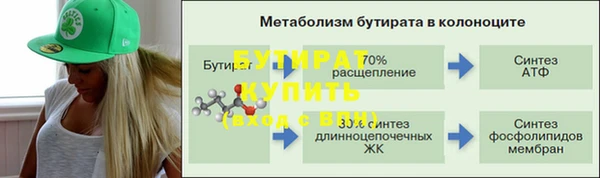 индика Балахна