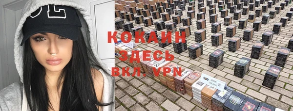 индика Балахна