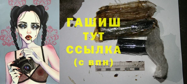 индика Балахна