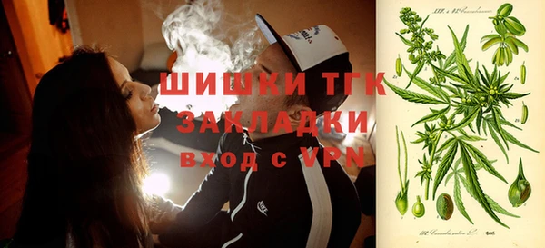 индика Балахна